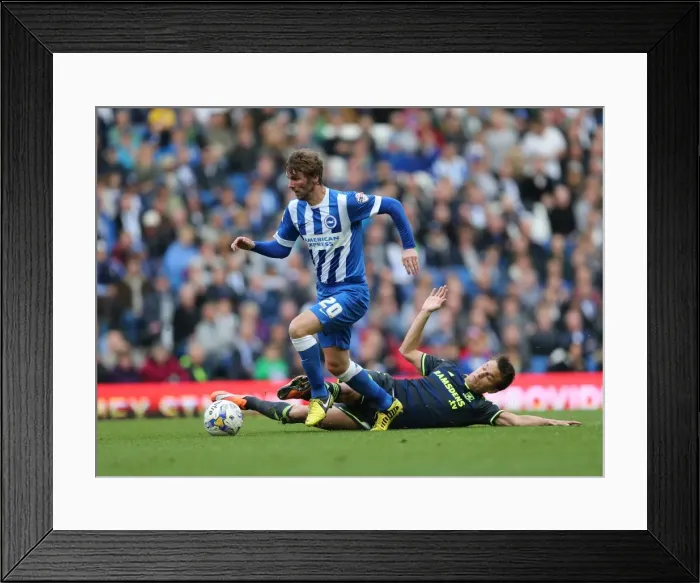 Framed Print : Brighton & Hove Albion: Paddy McCourt in Action Against Middlesbrough (18OCT14) Framed Print : Brighton & Hove Albion: Paddy McCourt in Action Against Middlesbrough (18OCT14)
