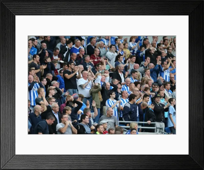 Framed Print : Seafront Sea of Seagulls: Brighton & Hove Albion Fans in Full Force against Middlesbrough (18OCT14) Framed Print : Seafront Sea of Seagulls: Brighton & Hove Albion Fans in Full Force against Middlesbrough (18OCT14)