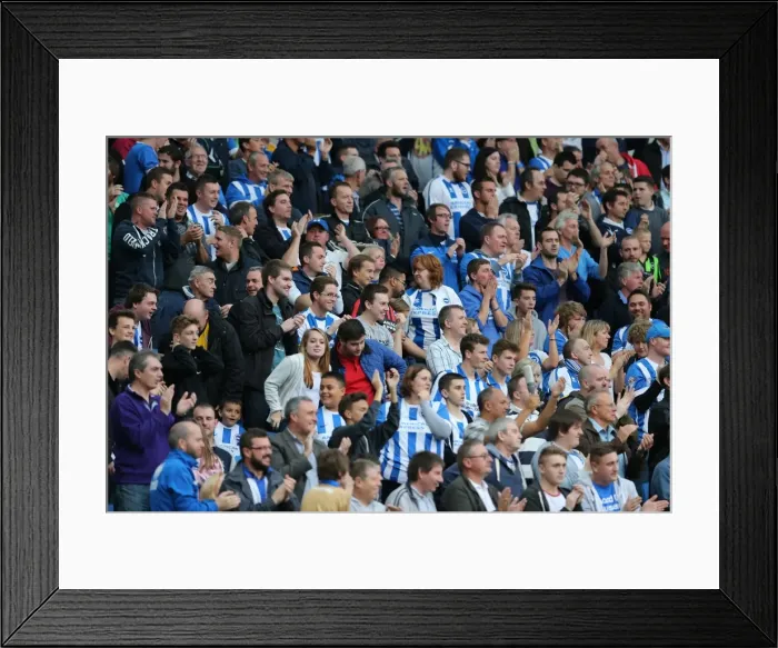 Framed Print : Seafront Sea of Seagulls: Brighton & Hove Albion Fans in Full Force Against Middlesbrough (18OCT14) Framed Print : Seafront Sea of Seagulls: Brighton & Hove Albion Fans in Full Force Against Middlesbrough (18OCT14)