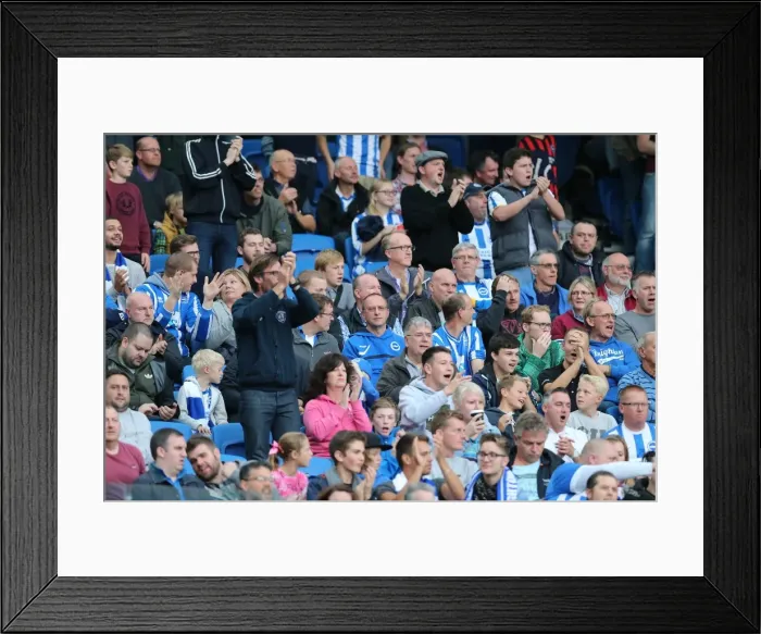 Framed Print : Seafront Showdown: Brighton and Hove Albion Fans in Full Force Against Middlesbrough (18OCT14) Framed Print : Seafront Showdown: Brighton and Hove Albion Fans in Full Force Against Middlesbrough (18OCT14)