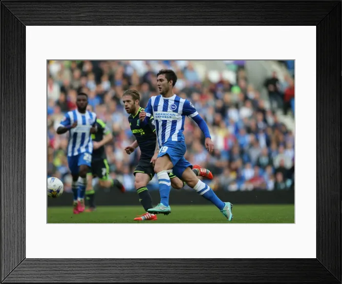 Framed Print : Gary Gardner in Action: Brighton and Hove Albion vs. Middlesbrough, October 18, 2014 Framed Print : Gary Gardner in Action: Brighton and Hove Albion vs. Middlesbrough, October 18, 2014