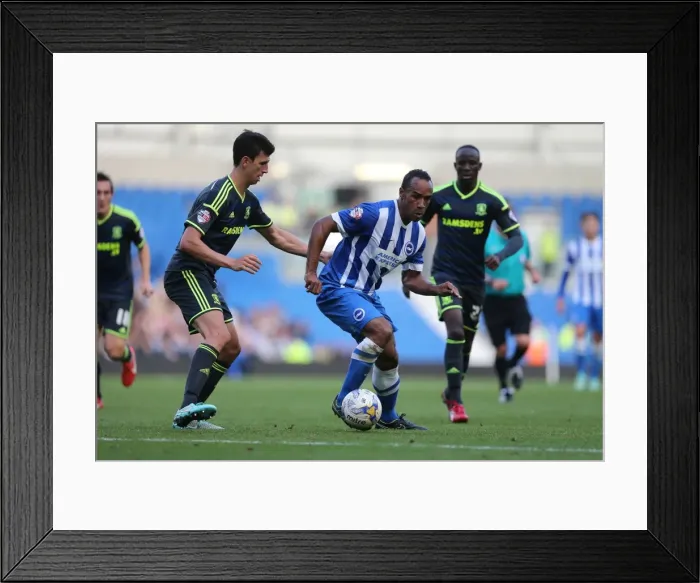 Framed Print : Chris O'Grady in Action: Brighton and Hove Albion vs. Middlesbrough, October 18, 2014 Framed Print : Chris O'Grady in Action: Brighton and Hove Albion vs. Middlesbrough, October 18, 2014