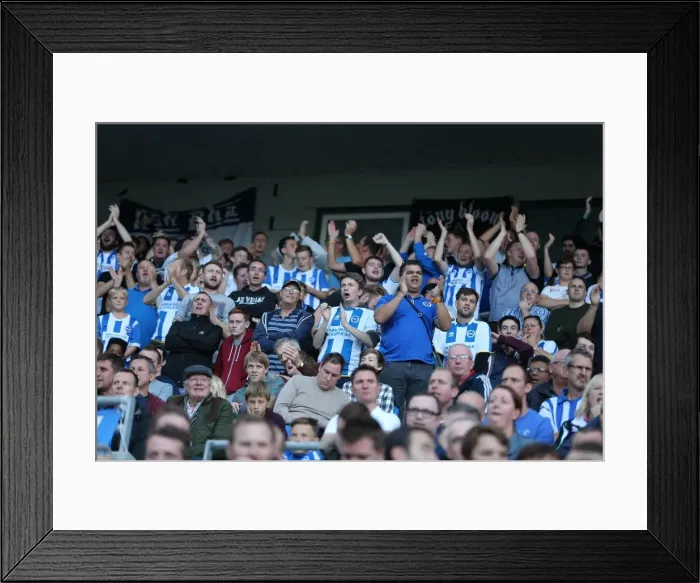 Framed Print : Brighton & Hove Albion Fans in Full Support: A Sea of Colors at the American Express Community Stadium vs. Middlesbrough (18OCT14) Framed Print : Brighton & Hove Albion Fans in Full Support: A Sea of Colors at the American Express Community Stadium vs. Middlesbrough (18OCT14)