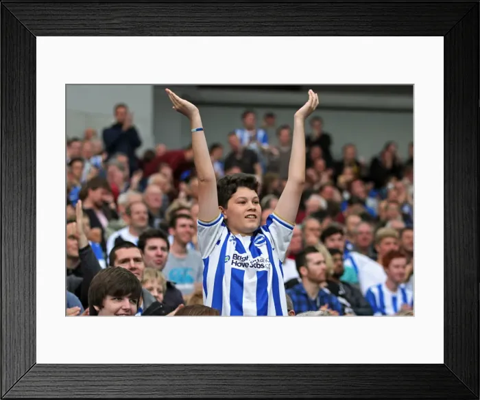 Framed Print : Brighton & Hove Albion vs. Middlesbrough: 18Oct14 (Home Game) Framed Print : Brighton & Hove Albion vs. Middlesbrough: 18Oct14 (Home Game)