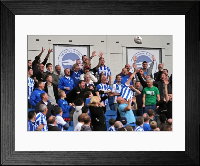 Framed Print : Brighton & Hove Albion vs. Middlesbrough: 18 October 2014 (Home Game) Framed Print : Brighton & Hove Albion vs. Middlesbrough: 18 October 2014 (Home Game)