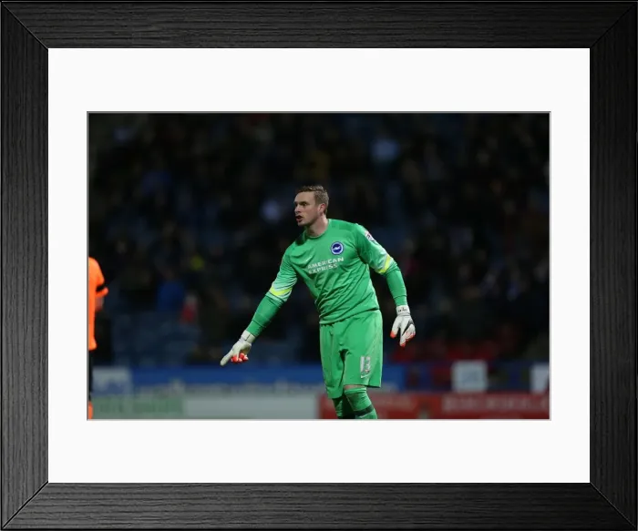 Framed Print : David Stockdale Focuses in Huddersfield vs. Brighton Championship Clash (21OCT14)