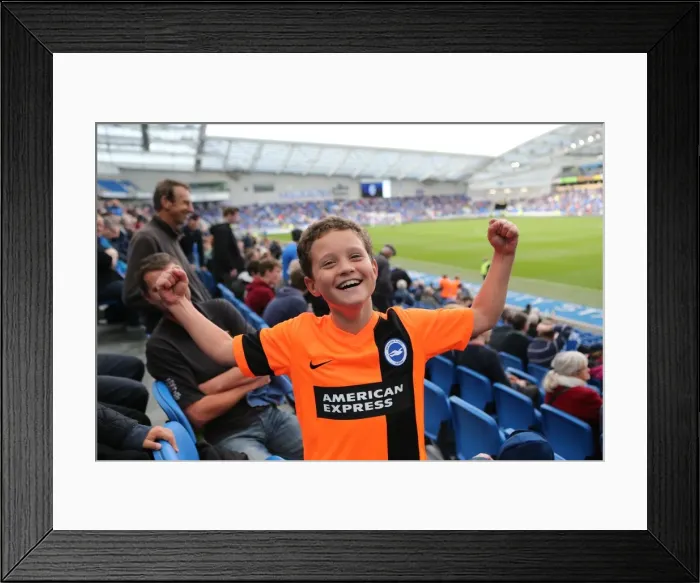 Framed Print : Brighton & Hove Albion Fans in Full Swing at American Express Community Stadium during SkyBet Championship Match vs. Rotherham United (25th October 2014) Framed Print : Brighton & Hove Albion Fans in Full Swing at American Express Community Stadium during SkyBet Championship Match vs. Rotherham United (25th October 2014)
