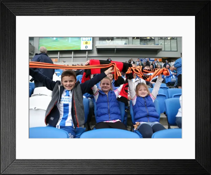 Framed Print : Brighton and Hove Albion Fans in Full Swing at American Express Community Stadium during SkyBet Championship Match vs. Rotherham United (October 2014)