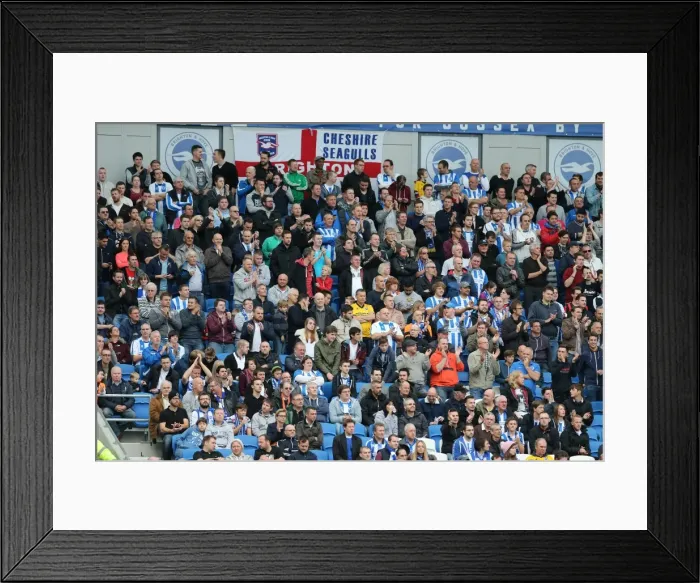 Framed Print : Brighton & Hove Albion Fans in Action at American Express Community Stadium during SkyBet Championship Match vs. Rotherham United (25th October 2014) Framed Print : Brighton & Hove Albion Fans in Action at American Express Community Stadium during SkyBet Championship Match vs. Rotherham United (25th October 2014)