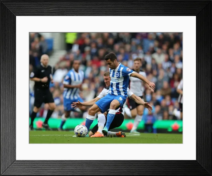 Framed Print : Brighton & Hove Albion's Sam Baldock in Action at American Express Community Stadium vs. Rotherham United (October 25, 2014) Framed Print : Brighton & Hove Albion's Sam Baldock in Action at American Express Community Stadium vs. Rotherham United (October 25, 2014)