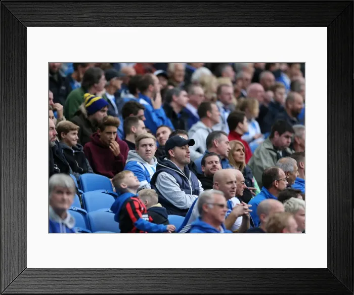 Framed Print : Brighton & Hove Albion Fans in Full Force at American Express Community Stadium during SkyBet Championship Match vs. Rotherham United (October 2014) Framed Print : Brighton & Hove Albion Fans in Full Force at American Express Community Stadium during SkyBet Championship Match vs. Rotherham United (October 2014)