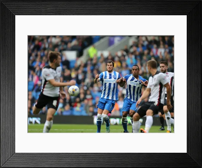 Framed Print : Gordon Greer of Brighton & Hove Albion in Action at American Express Community Stadium vs Rotherham United (October 25, 2014) Framed Print : Gordon Greer of Brighton & Hove Albion in Action at American Express Community Stadium vs Rotherham United (October 25, 2014)