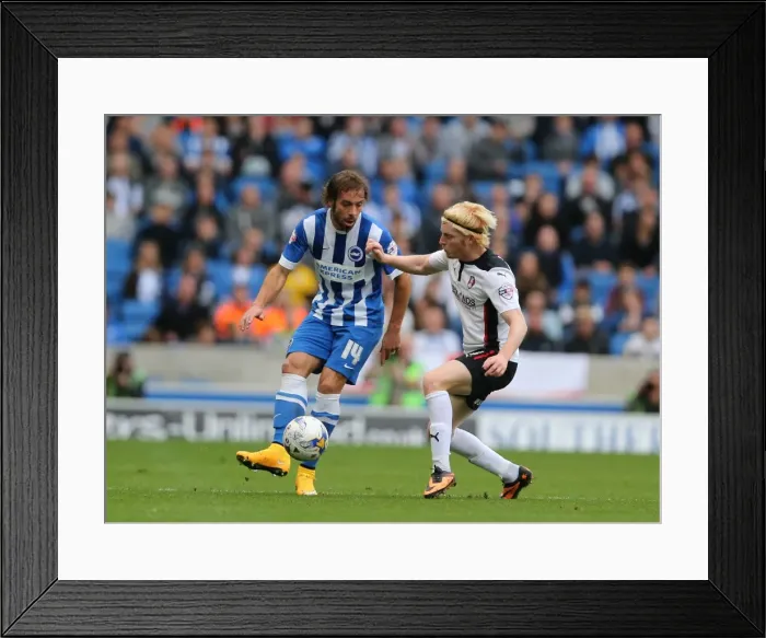 Framed Print : Brighton & Hove Albion: Inigo Calderon at American Express Community Stadium during SkyBet Championship Match vs Rotherham United (25th October 2014) Framed Print : Brighton & Hove Albion: Inigo Calderon at American Express Community Stadium during SkyBet Championship Match vs Rotherham United (25th October 2014)