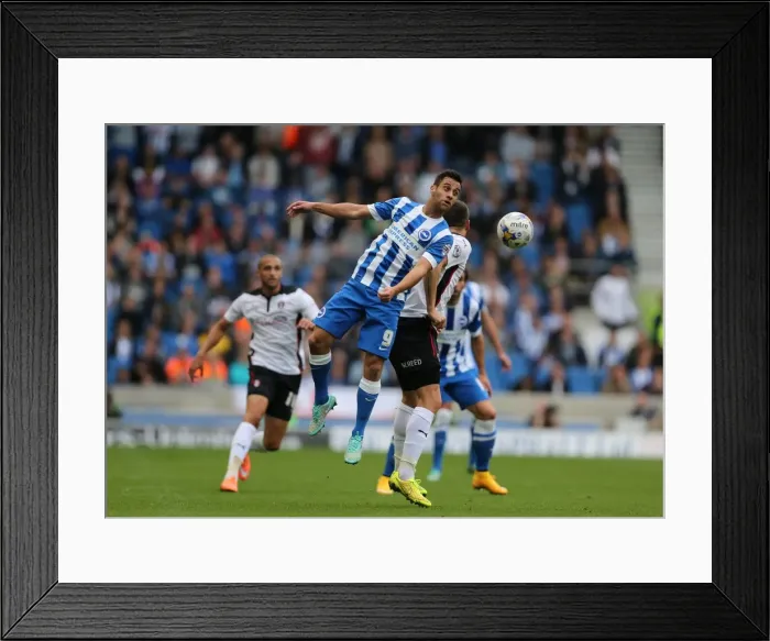 Framed Print : Sam Baldock in Action: Brighton and Hove Albion vs. Rotherham United at American Express Community Stadium (October 25, 2014)