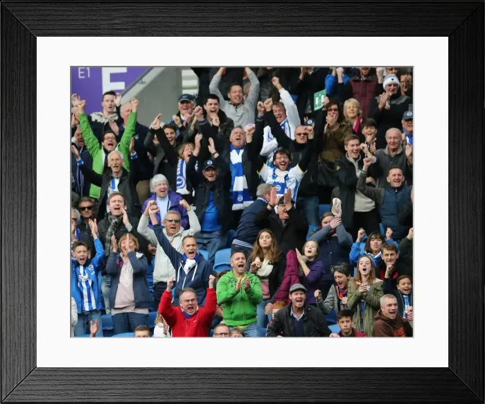 Framed Print : Brighton & Hove Albion Fans Celebrate at American Express Community Stadium during SkyBet Championship Match vs. Rotherham United (2014) Framed Print : Brighton & Hove Albion Fans Celebrate at American Express Community Stadium during SkyBet Championship Match vs. Rotherham United (2014)