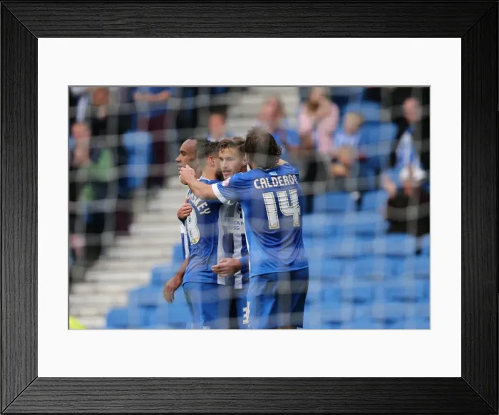 Framed Print : Joe Bennett Scores: Brighton and Hove Albion vs. Rotherham United at American Express Community Stadium, October 2014 Framed Print : Joe Bennett Scores: Brighton and Hove Albion vs. Rotherham United at American Express Community Stadium, October 2014