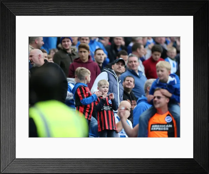 Framed Print : Brighton & Hove Albion Fans in Full Swing at American Express Community Stadium during SkyBet Championship Match vs. Rotherham United (October 25, 2014)