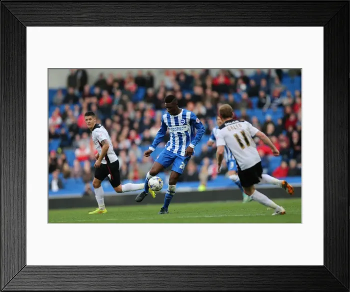 Framed Print : Rohan Ince in Action: Brighton and Hove Albion vs Rotherham United at American Express Community Stadium, October 2014 Framed Print : Rohan Ince in Action: Brighton and Hove Albion vs Rotherham United at American Express Community Stadium, October 2014