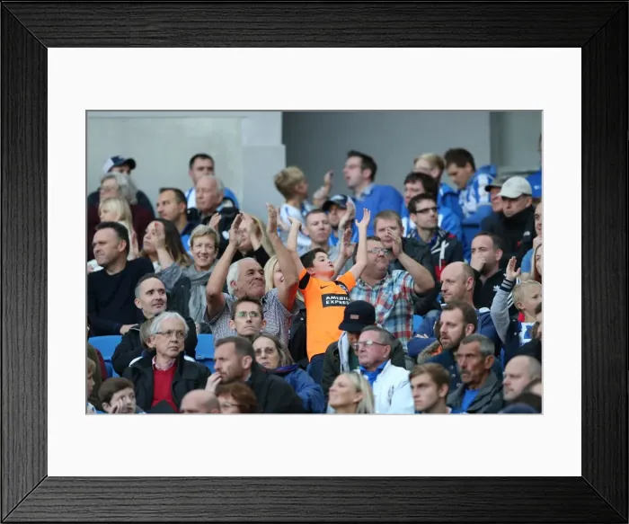 Framed Print : Brighton & Hove Albion Fans in Full Force at American Express Community Stadium during SkyBet Championship Match vs. Rotherham United (October 2014) Framed Print : Brighton & Hove Albion Fans in Full Force at American Express Community Stadium during SkyBet Championship Match vs. Rotherham United (October 2014)