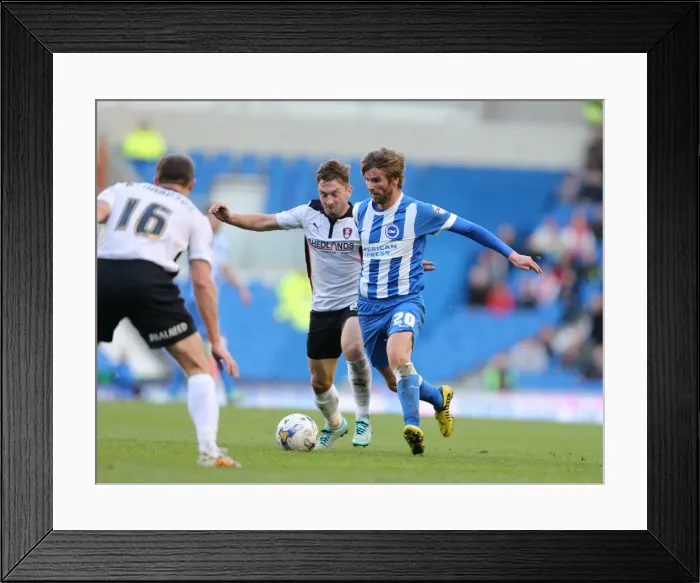 Framed Print : Paddy McCourt in Action: Brighton & Hove Albion vs Rotherham United at American Express Community Stadium, October 2014 Framed Print : Paddy McCourt in Action: Brighton & Hove Albion vs Rotherham United at American Express Community Stadium, October 2014
