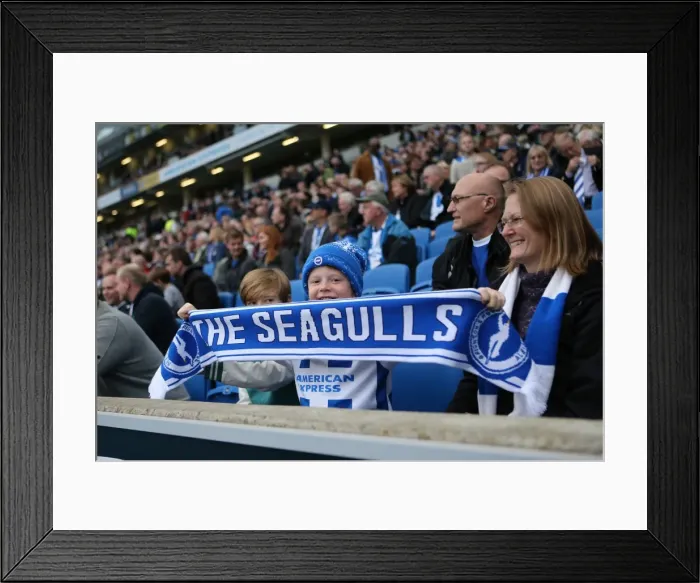 Framed Print : Brighton & Hove Albion Fans in Full Swing at American Express Community Stadium during SkyBet Championship Match vs. Rotherham United (October 2014)