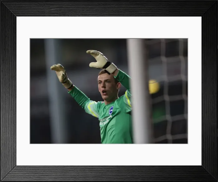 Framed Print : Christian Walton in Action: Tottenham vs. Brighton and Hove Albion in Capital One Cup Framed Print : Christian Walton in Action: Tottenham vs. Brighton and Hove Albion in Capital One Cup