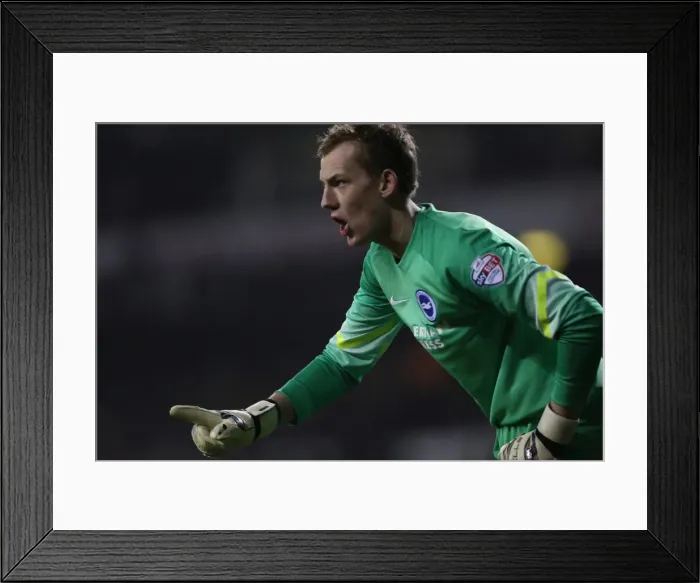 Framed Print : Christian Walton in Action: Tottenham vs. Brighton and Hove Albion in Capital One Cup Framed Print : Christian Walton in Action: Tottenham vs. Brighton and Hove Albion in Capital One Cup
