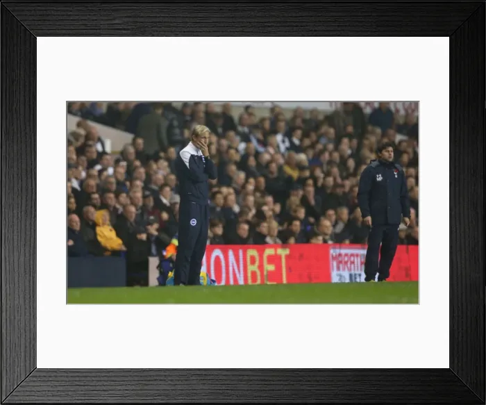 Framed Print : Sami Hyypia Leads Brighton Against Tottenham in Capital One Cup Showdown at White Hart Lane (October 2014) Framed Print : Sami Hyypia Leads Brighton Against Tottenham in Capital One Cup Showdown at White Hart Lane (October 2014)
