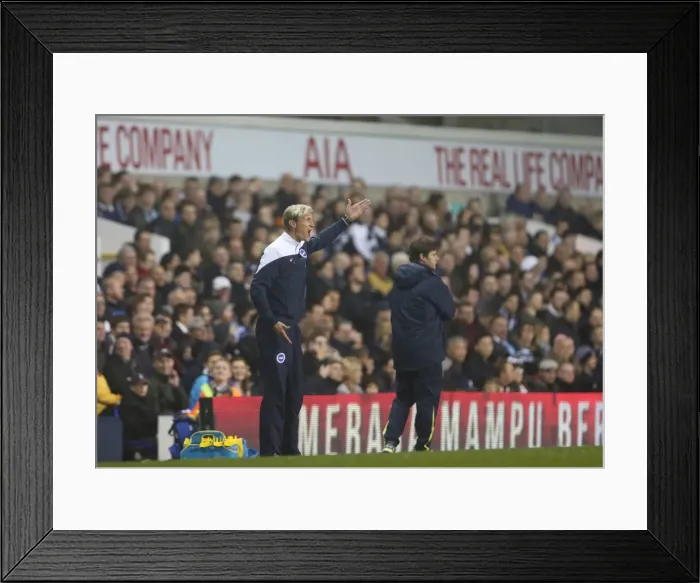 Framed Print : Sami Hyypia Leads Brighton and Hove Albion Against Tottenham Hotspur in Capital One Cup