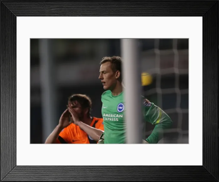 Framed Print : Christian Walton's Brave Performance: Tottenham vs. Brighton in the Capital One Cup Framed Print : Christian Walton's Brave Performance: Tottenham vs. Brighton in the Capital One Cup