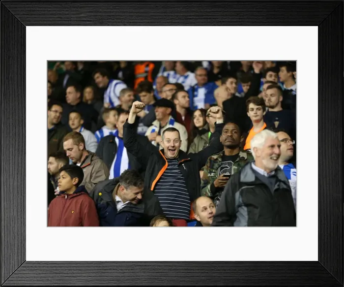 Framed Print : Tottenham vs. Brighton: A Battle in the Capital One Cup, October 2014 Framed Print : Tottenham vs. Brighton: A Battle in the Capital One Cup, October 2014