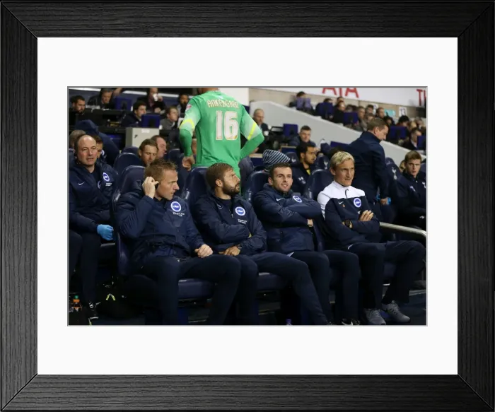 Framed Print : Tottenham vs. Brighton: A Battle in the Capital One Cup, October 2014 Framed Print : Tottenham vs. Brighton: A Battle in the Capital One Cup, October 2014