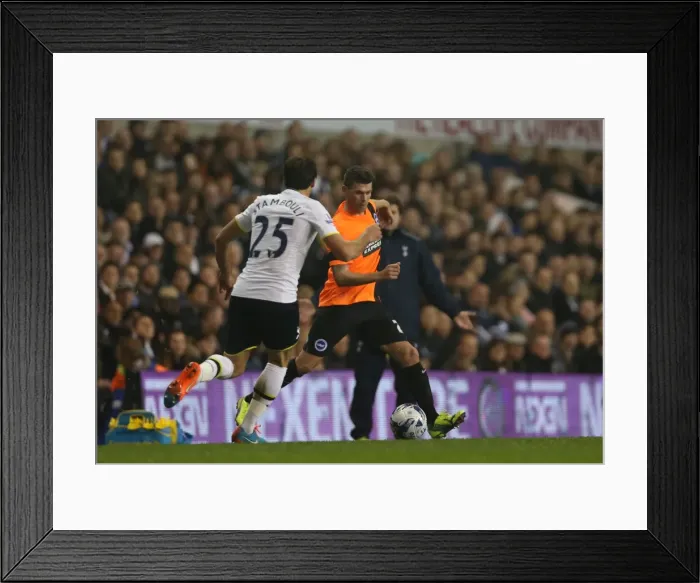 Framed Print : Brighton & Hove Albion's Danny Holla Faces Off Against Tottenham Hotspur in the Capital One Cup