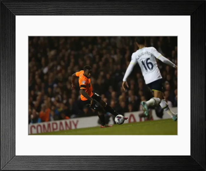 Framed Print : LuaLua's Battle: Tottenham vs. Brighton in the Capital One Cup (29OCT14) Framed Print : LuaLua's Battle: Tottenham vs. Brighton in the Capital One Cup (29OCT14)