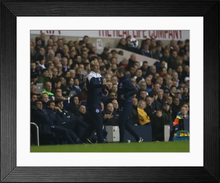 Framed Print : Hyypia and Jones Lead Brighton at White Hart Lane Against Tottenham, October 2014 Framed Print : Hyypia and Jones Lead Brighton at White Hart Lane Against Tottenham, October 2014