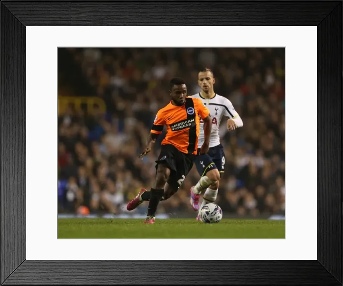 Framed Print : LuaLua's Determined Battle: Tottenham vs. Brighton in the Capital One Cup (29OCT14) Framed Print : LuaLua's Determined Battle: Tottenham vs. Brighton in the Capital One Cup (29OCT14)