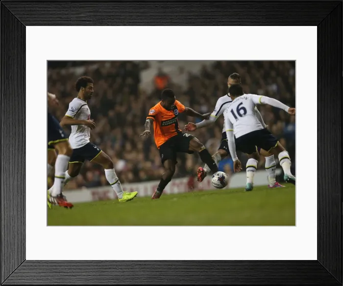 Framed Print : LuaLua's Determined Performance: Brighton vs. Tottenham in the Capital One Cup (29OCT14) Framed Print : LuaLua's Determined Performance: Brighton vs. Tottenham in the Capital One Cup (29OCT14)