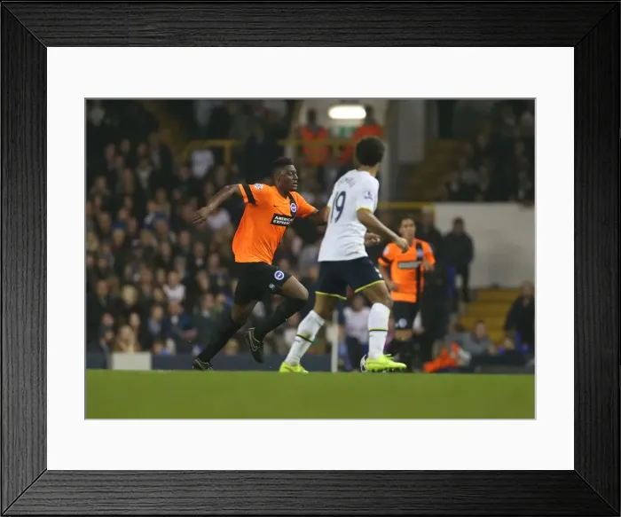 Framed Print : Rohan Ince Fights for Brighton And Hove Albion Against Tottenham Hotspur in Capital One Cup Clash, 29th October 2014