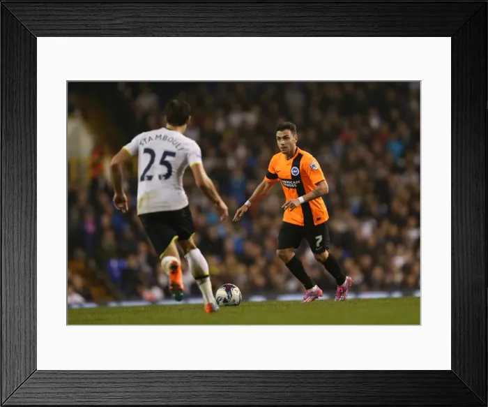 Framed Print : Colunga vs. Tottenham: Capital One Cup Clash between Brighton and Spurs (29OCT14) Framed Print : Colunga vs. Tottenham: Capital One Cup Clash between Brighton and Spurs (29OCT14)