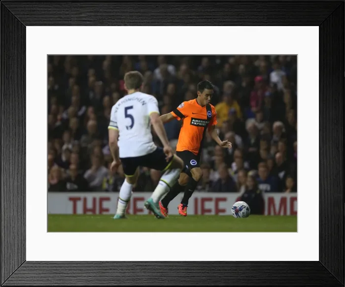 Framed Print : Chicken Stands Firm: Intense Moment from Tottenham vs. Brighton Capital One Cup Clash (2014) Framed Print : Chicken Stands Firm: Intense Moment from Tottenham vs. Brighton Capital One Cup Clash (2014)