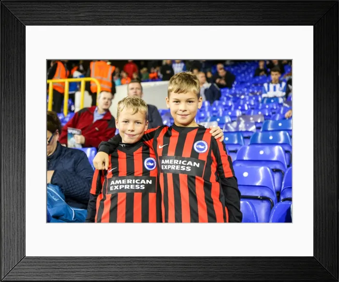 Framed Print : Brighton & Hove Albion vs. Tottenham Hotspur: 2014-15 Away Game Framed Print : Brighton & Hove Albion vs. Tottenham Hotspur: 2014-15 Away Game