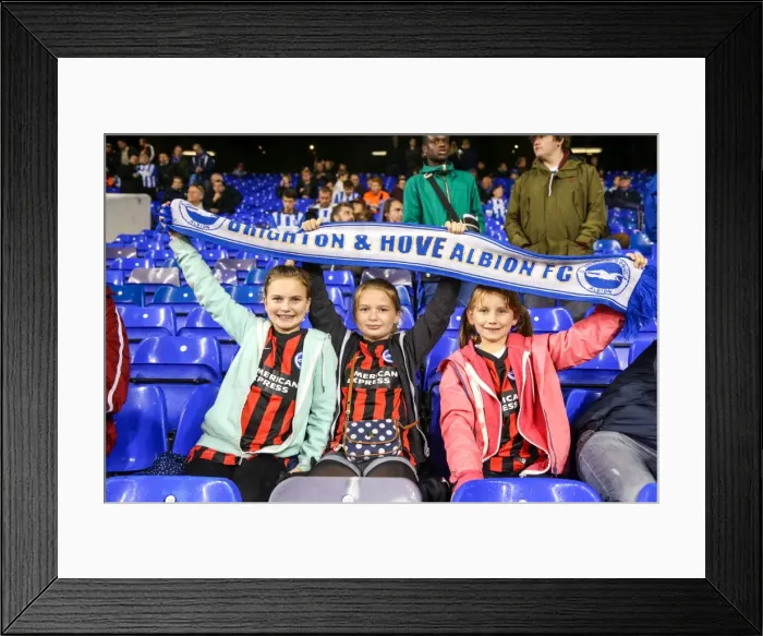 Framed Print : Brighton & Hove Albion vs. Tottenham Hotspur: 2014-15 Away Game