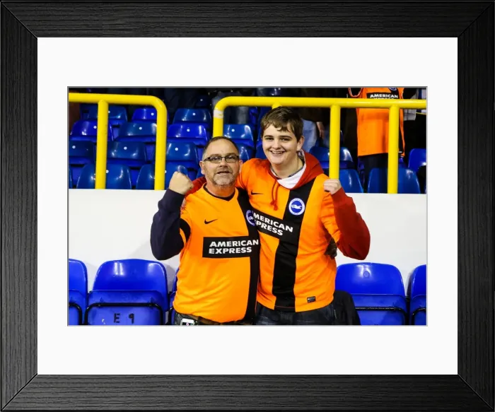 Framed Print : Brighton & Hove Albion vs. Tottenhotpur: 2014-15 Away Game