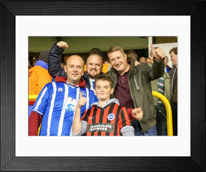 Framed Print : Brighton & Hove Albion vs. Tottenhotspur: 2014-15 Away Game Framed Print : Brighton & Hove Albion vs. Tottenhotspur: 2014-15 Away Game