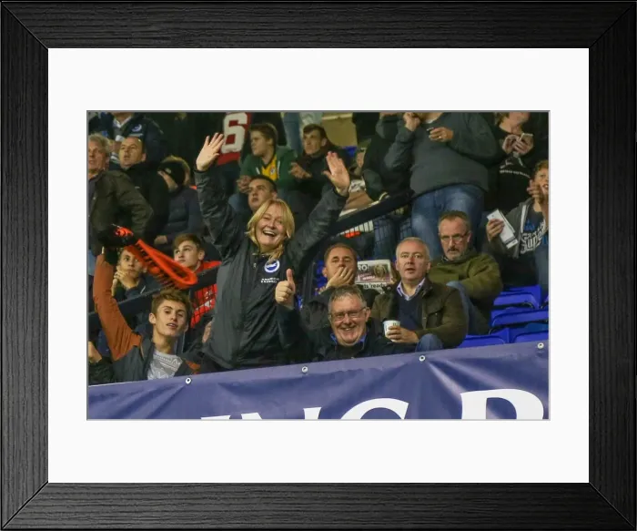 Framed Print : Brighton & Hove Albion vs. Tottenham Hotspur: 2014-15 Away Game Framed Print : Brighton & Hove Albion vs. Tottenham Hotspur: 2014-15 Away Game