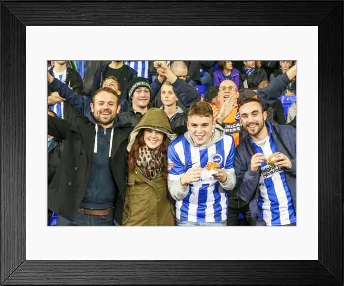 Framed Print : Brighton & Hove Albion vs. Tottenham Hotspur: 2014-15 Away Game Framed Print : Brighton & Hove Albion vs. Tottenham Hotspur: 2014-15 Away Game