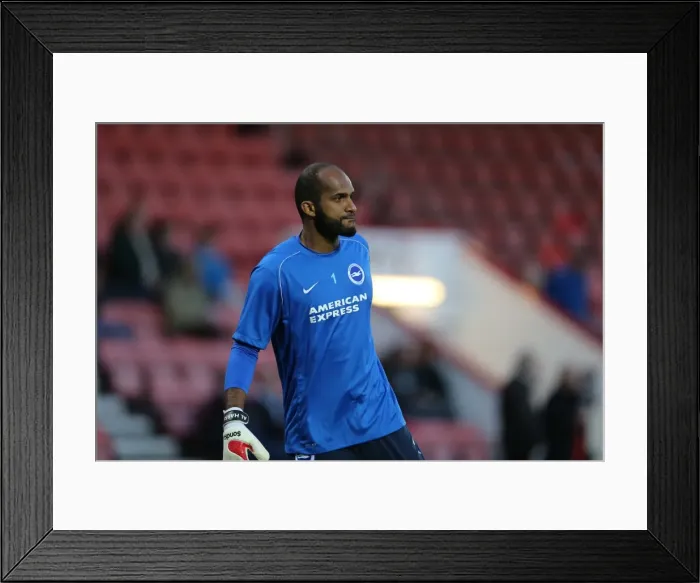 Framed Print : Ali Al-Habsi in Action: Bournemouth vs. Brighton & Hove Albion, November 2014 Framed Print : Ali Al-Habsi in Action: Bournemouth vs. Brighton & Hove Albion, November 2014