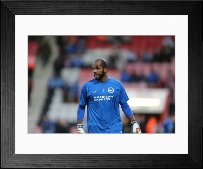 Framed Print : Ali Al-Habsi in Action: Brighton & Hove Albion vs Bournemouth, SkyBet Championship 2014 (Home Game) Framed Print : Ali Al-Habsi in Action: Brighton & Hove Albion vs Bournemouth, SkyBet Championship 2014 (Home Game)