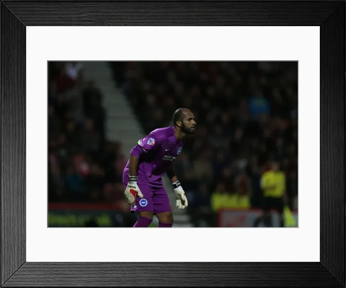 Framed Print : Ali Al-Habsi in Action: Brighton & Hove Albion vs. Bournemouth, SkyBet Championship (1st November 2014) Framed Print : Ali Al-Habsi in Action: Brighton & Hove Albion vs. Bournemouth, SkyBet Championship (1st November 2014)