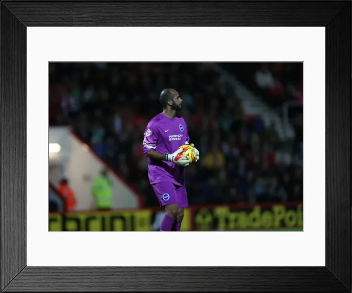 Framed Print : Ali Al-Habsi in Action: Brighton & Hove Albion vs. Bournemouth, SkyBet Championship (1st November 2014) Framed Print : Ali Al-Habsi in Action: Brighton & Hove Albion vs. Bournemouth, SkyBet Championship (1st November 2014)